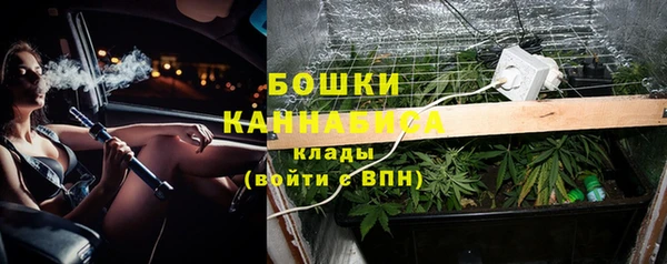 молекула духа Нязепетровск