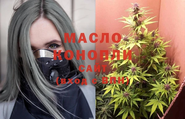 молекула духа Нязепетровск