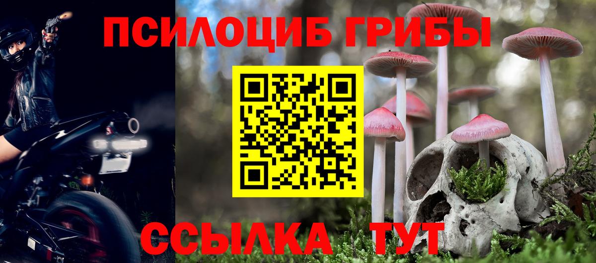 Псилоцибиновые грибы мухоморы Саки