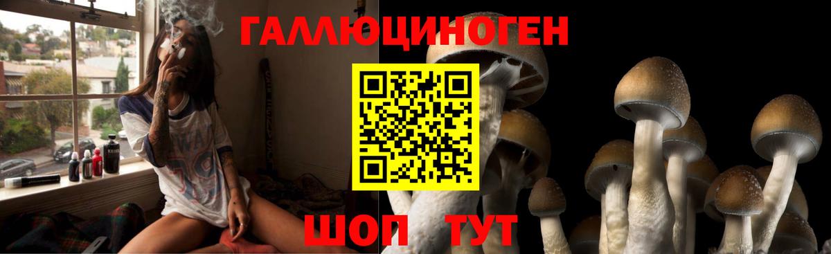 Псилоцибиновые грибы Psilocybine cubensis Саки